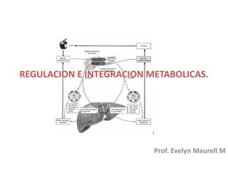 REGULACION E INTEGRACION METABOLICAS (1).pdf