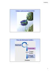 14.09.11 - Aula Teórica de Processamento de RNA.pdf