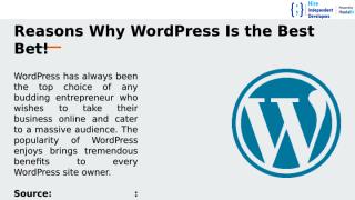 Reasons Why WordPress Is the Best Bet! (2).pptx