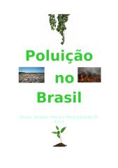 cb30ed5f_Poluição.no.brasil.docx