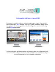 Professional SEO And Project Pro Service In USA.pdf